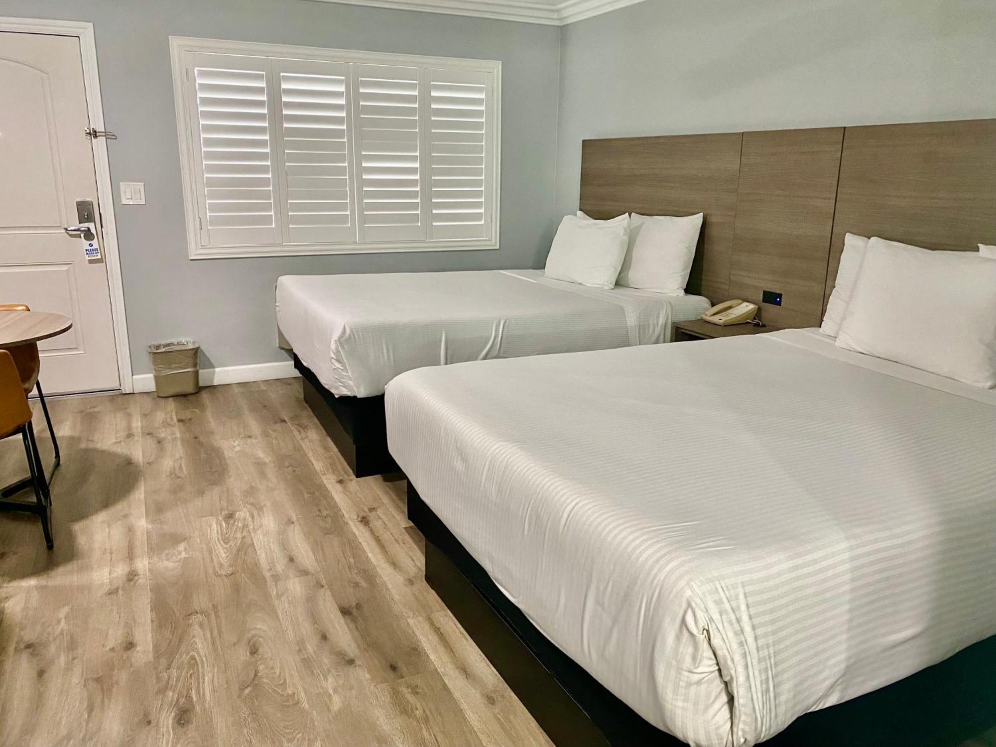 Lone Oak Monterrey